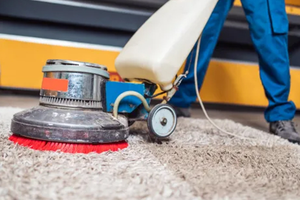 Professional equipment deep cleaning a thick area rug